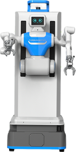 Humanoid Carrying Robot
