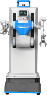 Humanoid Carrying Robot