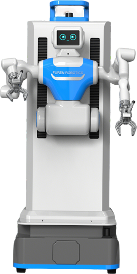 Humanoid Carrying Robot